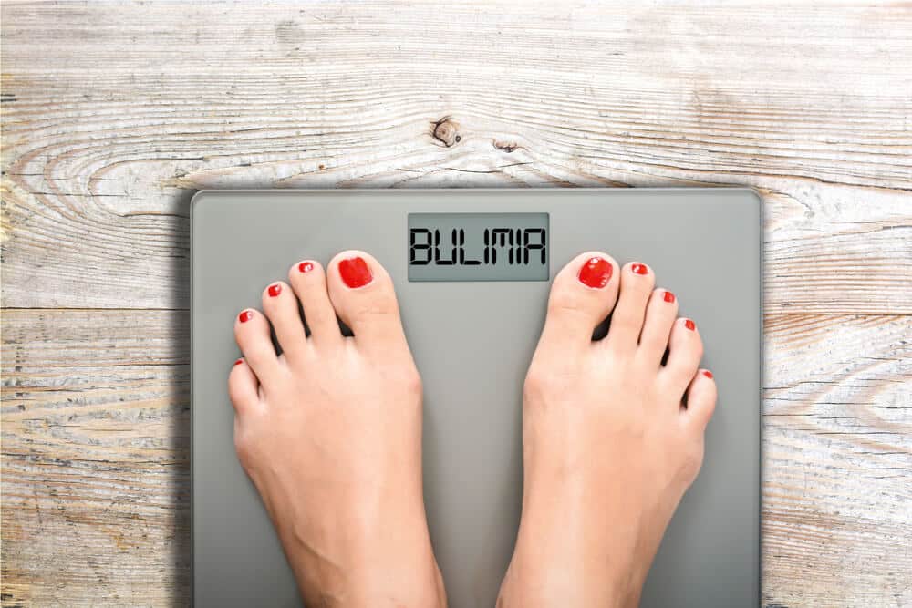 Header - Bulimia Recovery - The Hills|Support - Bulimia Recovery - Meadowglade