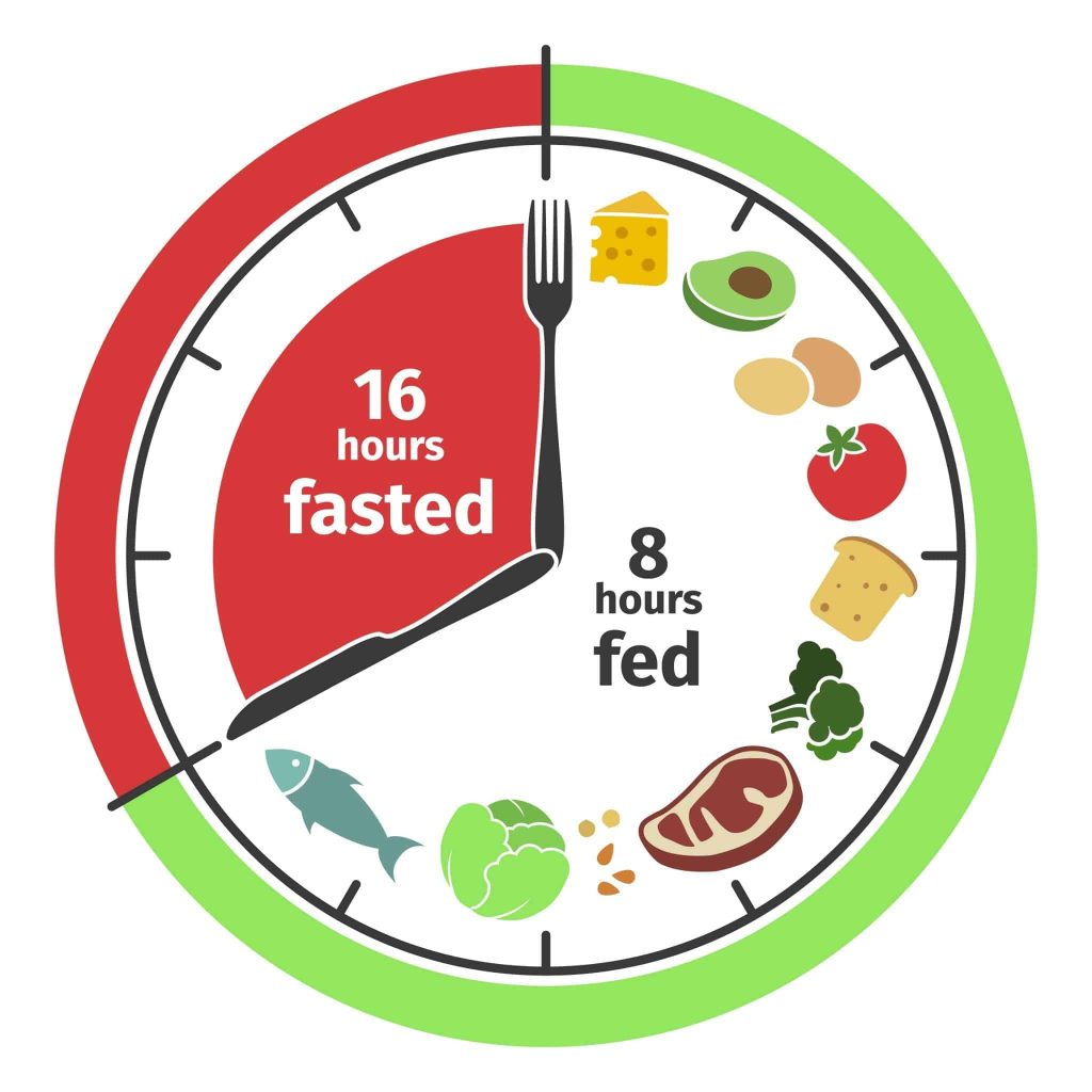 Split | Intermittent Fasting | The Meadowglade