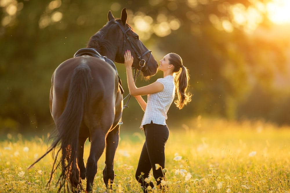 equine therapy in Los Angeles