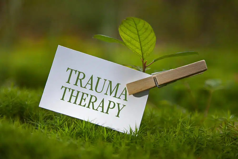 Help With Trauma - Meadowglade