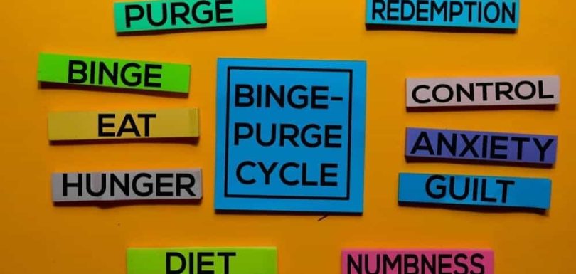Binge Purge Cycle | Purging | The Meadowglade|Bathroom | Purging | The Meadowglade
