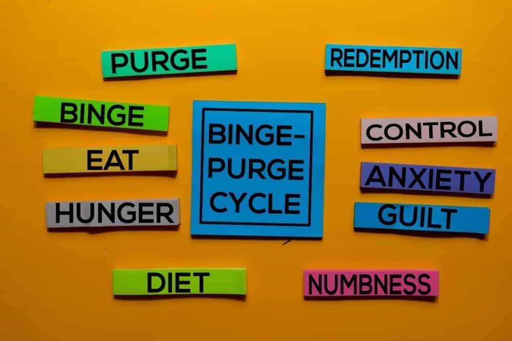 Binge Purge Cycle | Purging | The Meadowglade|Bathroom | Purging | The Meadowglade