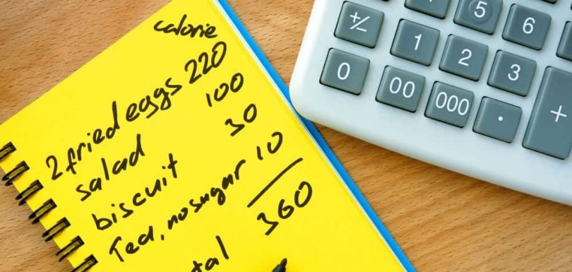 Notebook | Counting Calories | The Meadowglade|Recovery | Counting Calories | The Meadowglade