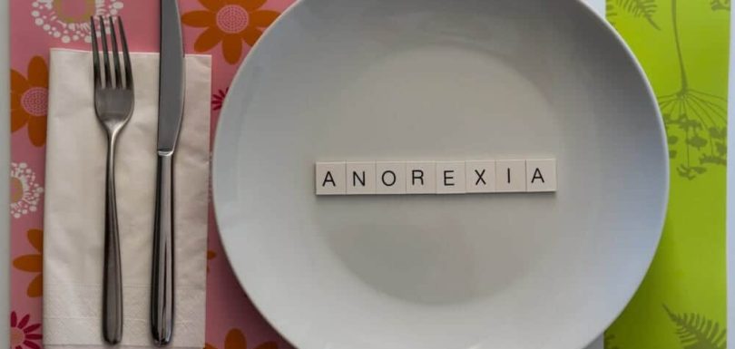 Plate | Anorexia Athletica | The Meadowglade|Nutritionist | Anorexia Athletica | The Meadowglade