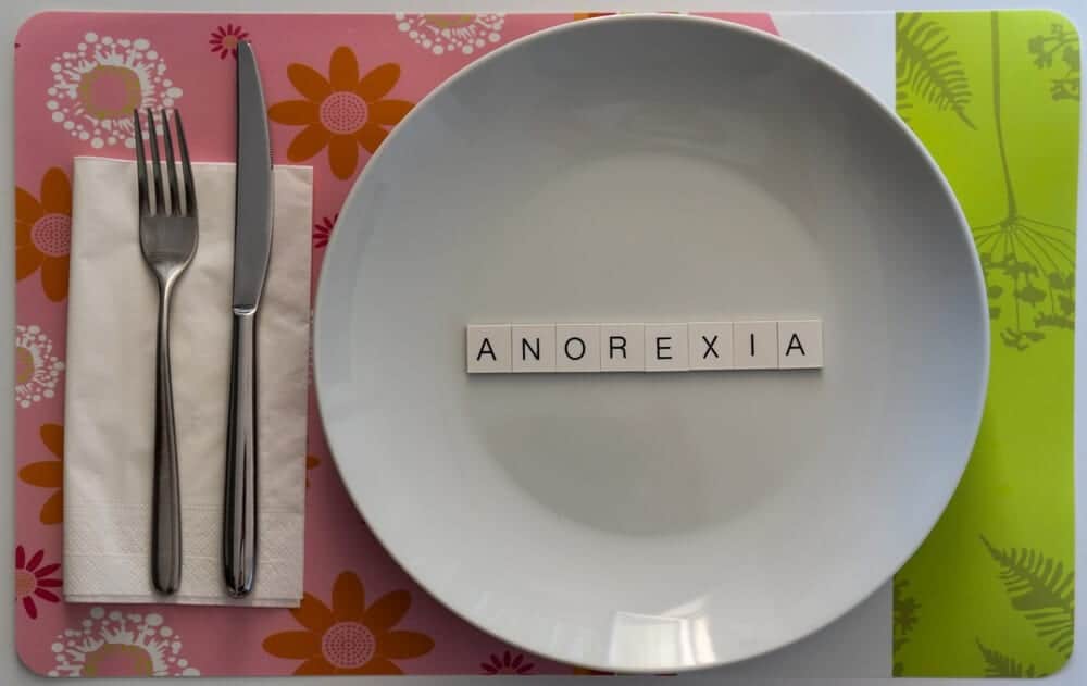 Plate | Anorexia Athletica | The Meadowglade|Nutritionist | Anorexia Athletica | The Meadowglade