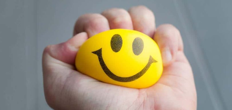 Stress Ball | Stress Disorder | The Meadowglade