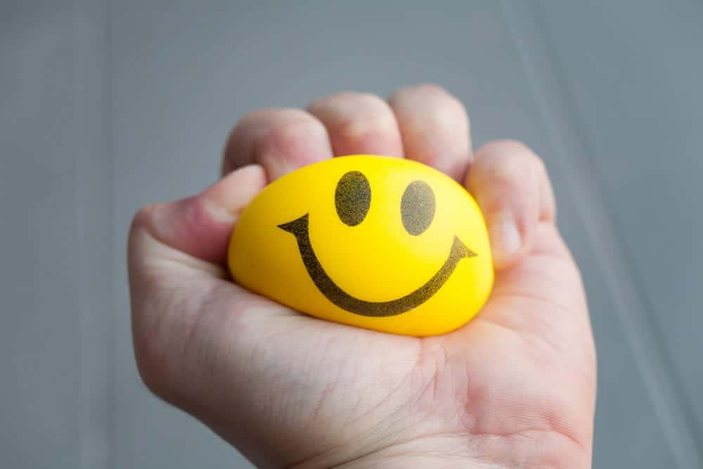 Stress Ball | Stress Disorder | The Meadowglade