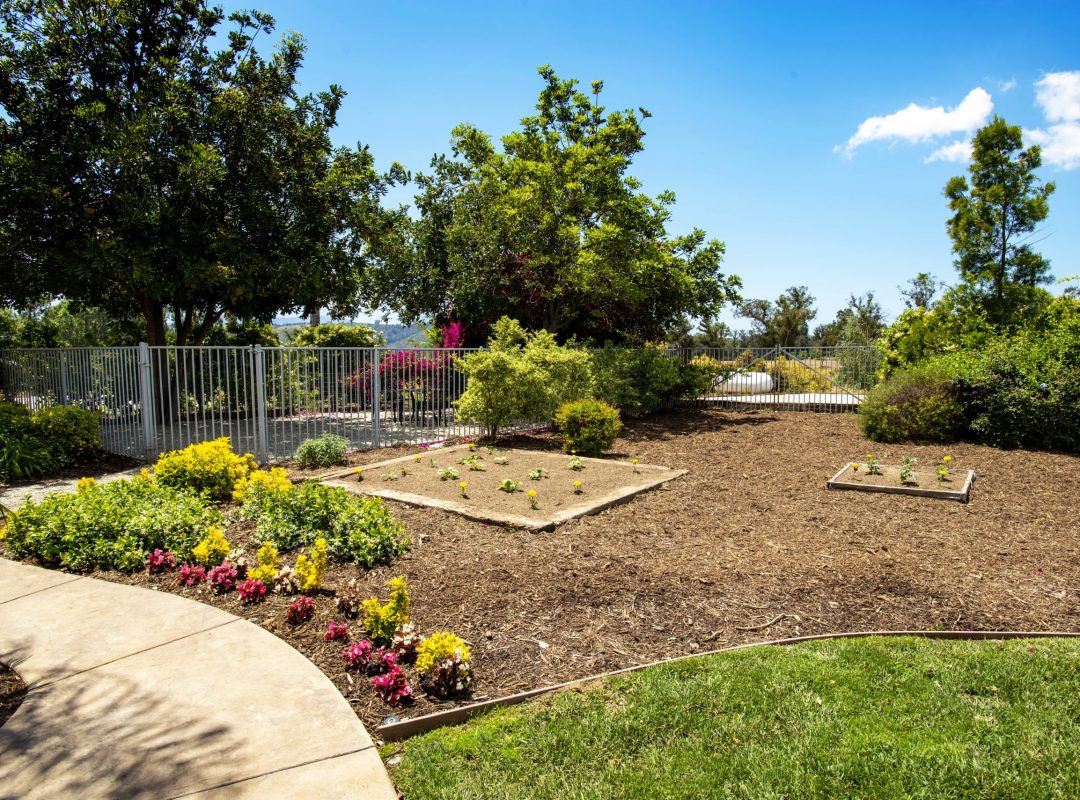 045_6450_Meadowglade-min